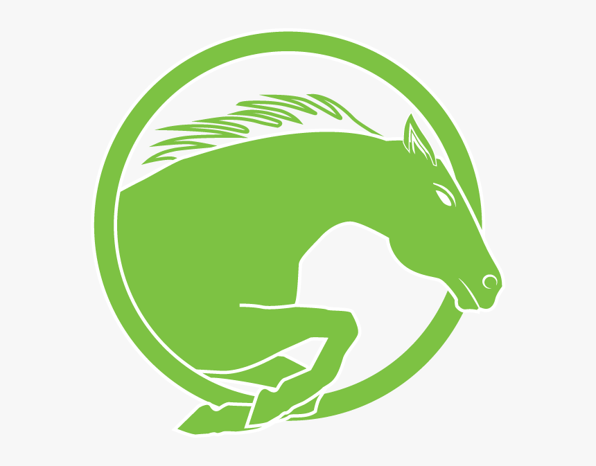 Transparent Horse Icon Png - Stallion, Png Download