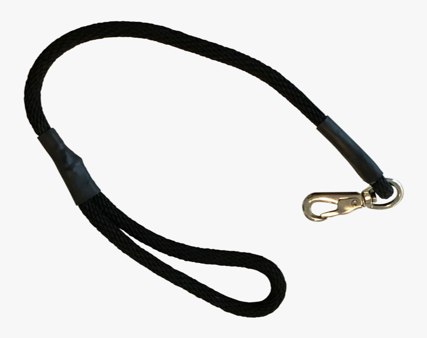 Training Leash Dog - Leash, HD Png Download