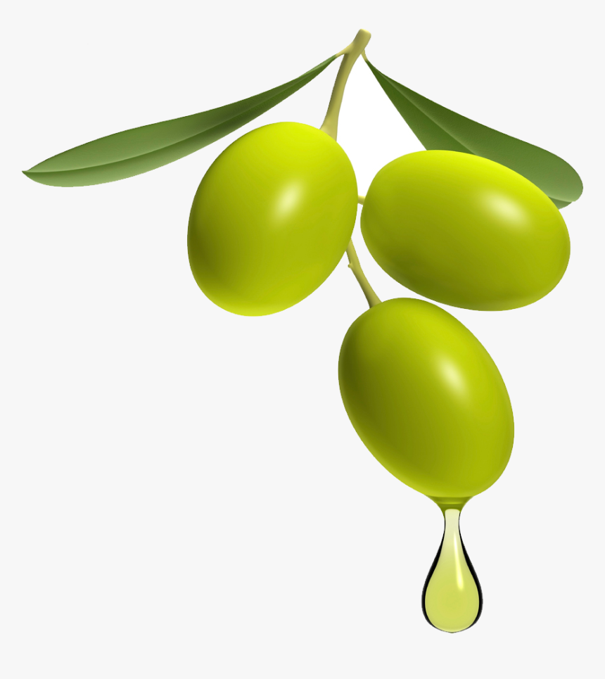 Olive Png, Transparent Png