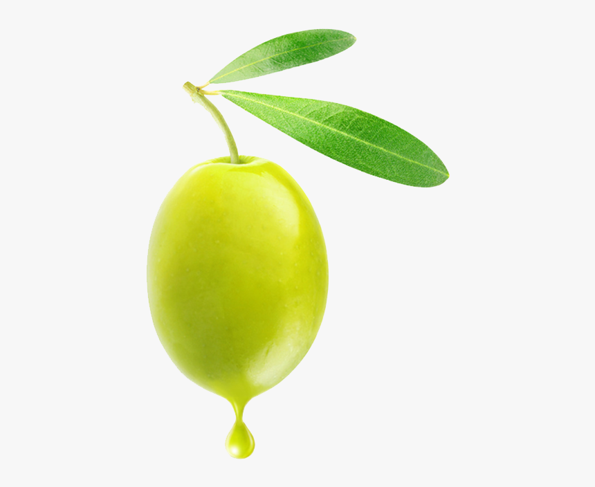 Olive Png - Green Olive Stickers, Transparent Png