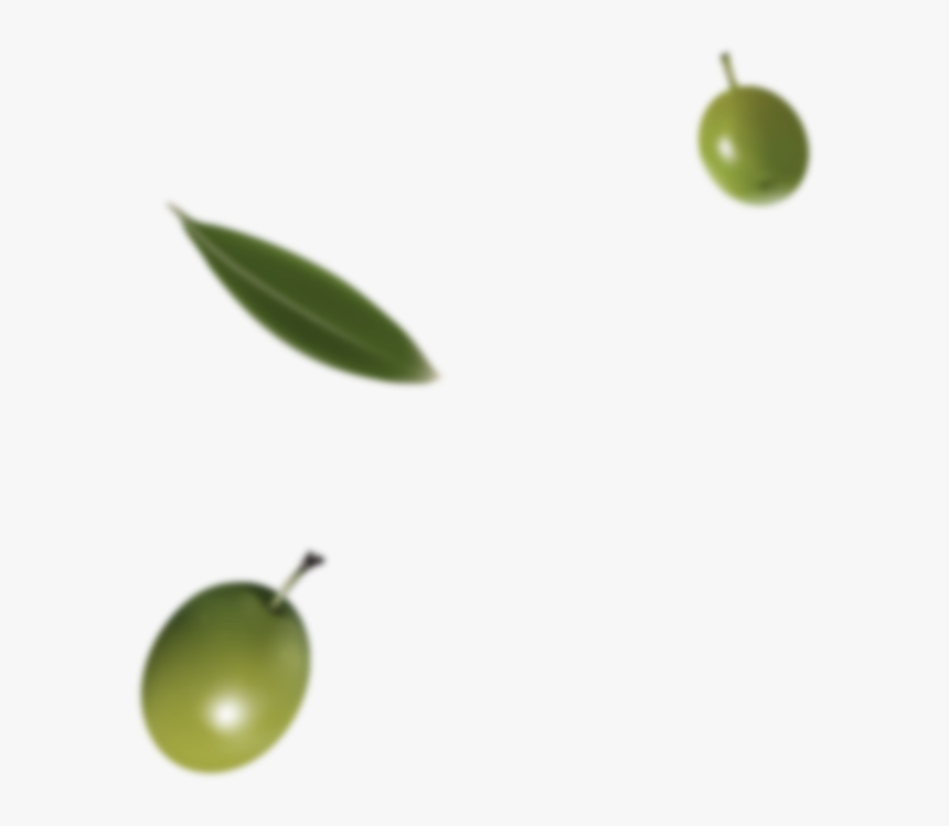 Olive Png Top Photography, Transparent Png