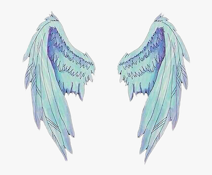 Anjo Sticker By Polianekarlota - Asas De Anjo Png, Transparent Png