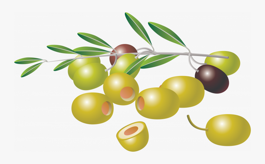 Now You Can Download Olives Png Picture - Clipart Picture Of Olives, Transparent Png