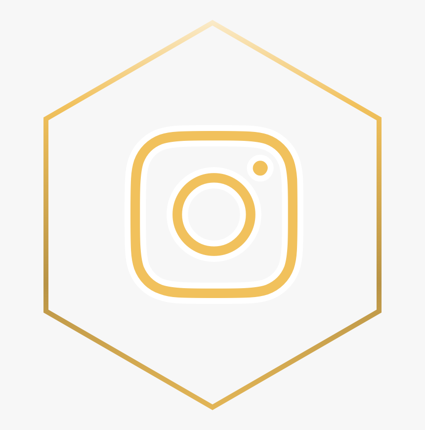 Mountain Lion Delivery Instagram - Circle, HD Png Download