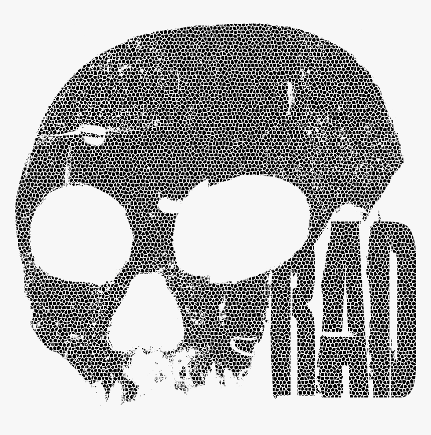 Skull, HD Png Download