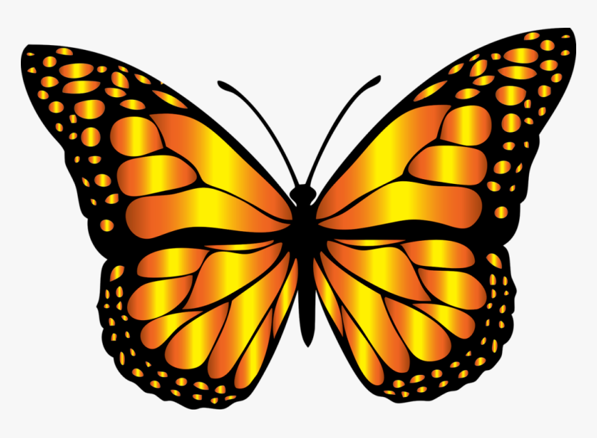 Butterfly Clipart Orange Clip - Butterfly Clipart, HD Png Download