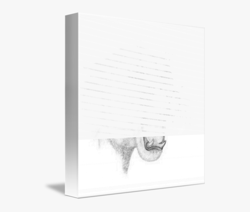 Sketch, HD Png Download