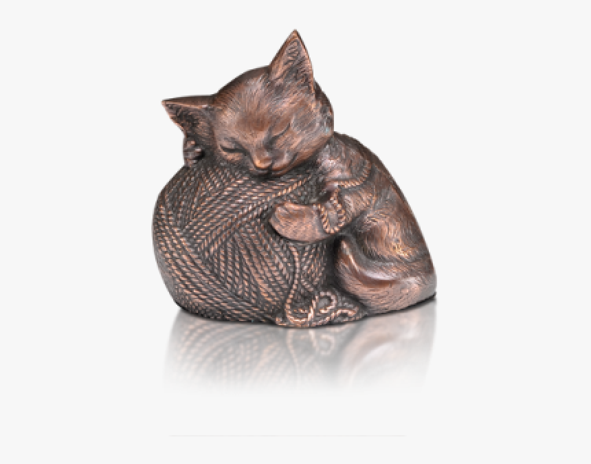 Domestic Short-haired Cat, HD Png Download