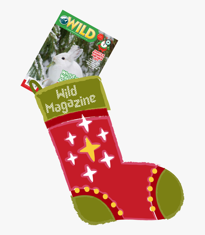 Christmas Stocking, HD Png Download