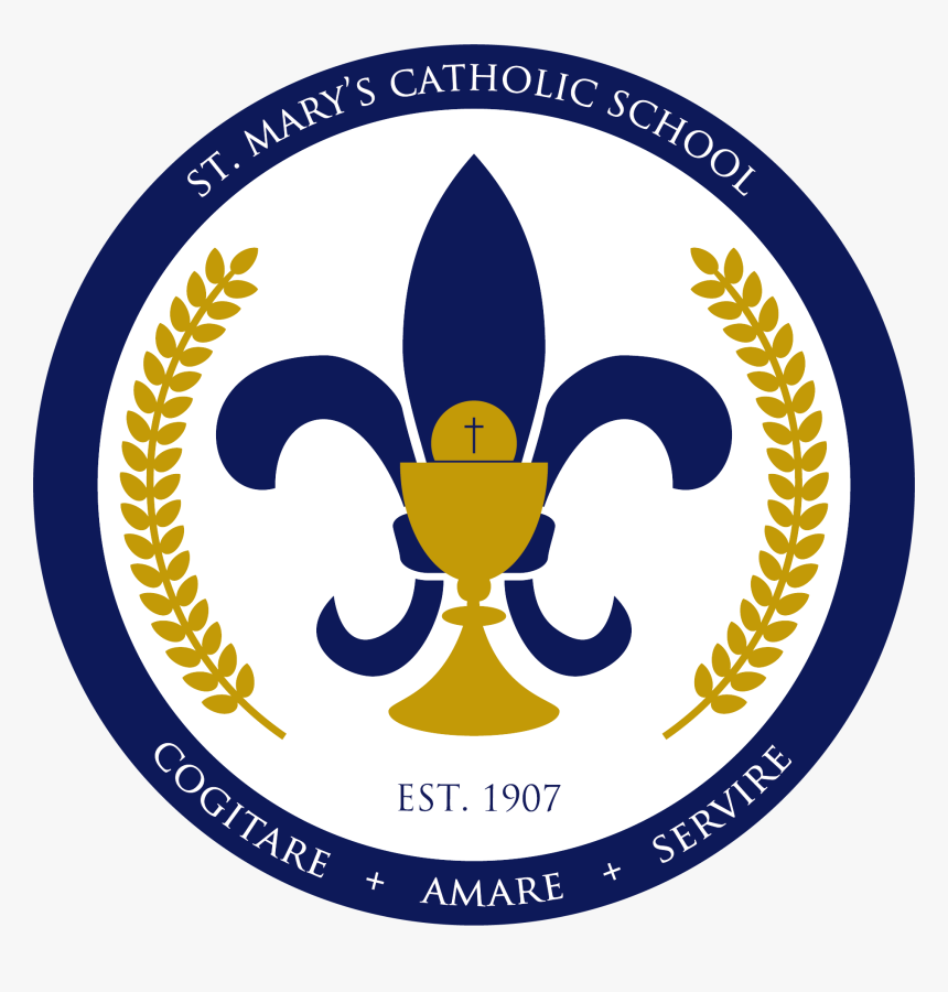 Film, HD Png Download