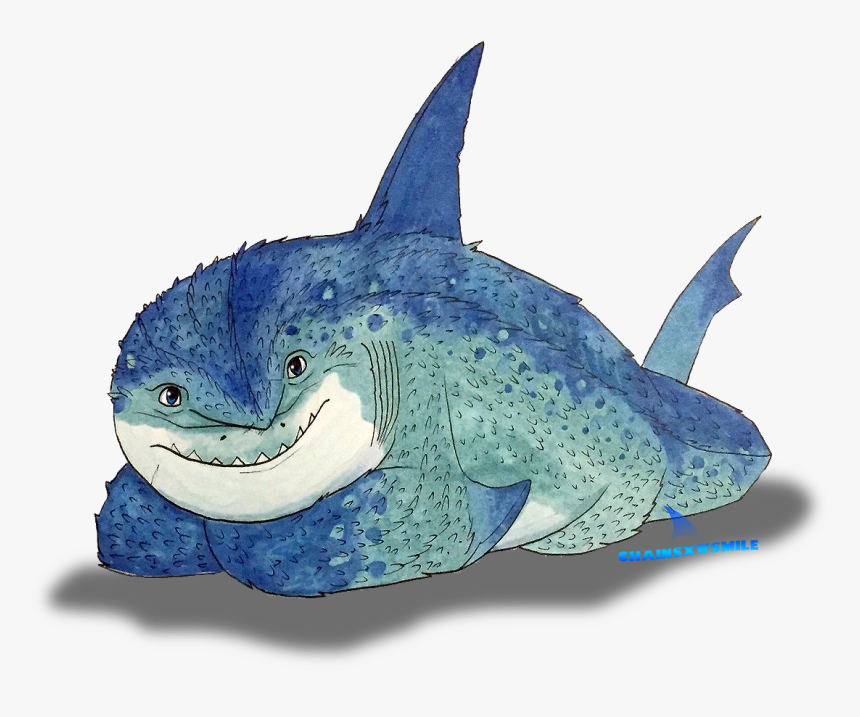 Carcharhiniformes, HD Png Download