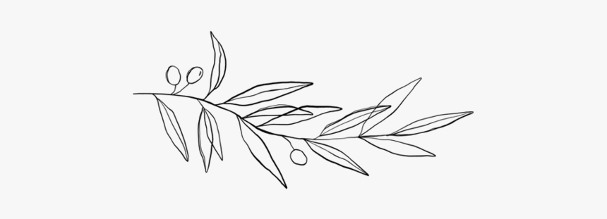 Aubrey Icons - Line Art, HD Png Download