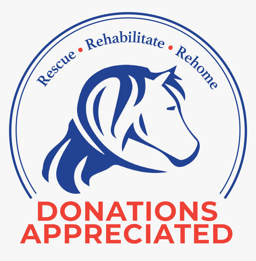 Transparent Horse Logo Png - Poster, Png Download