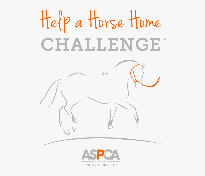 Help A Horse Home Orange And Gray Logo - Stallion, HD Png Download