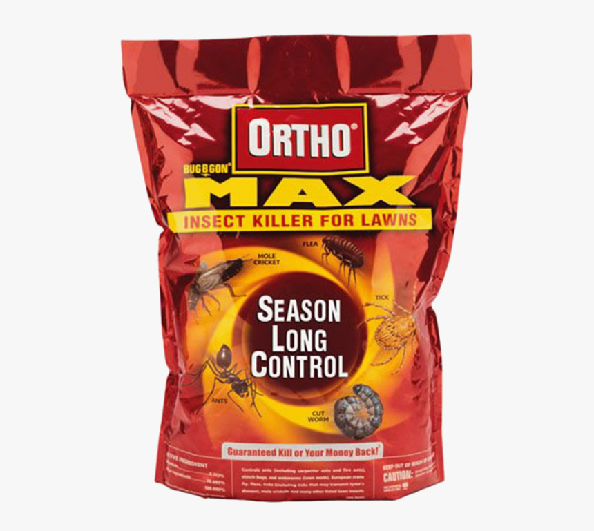 Ortho, HD Png Download