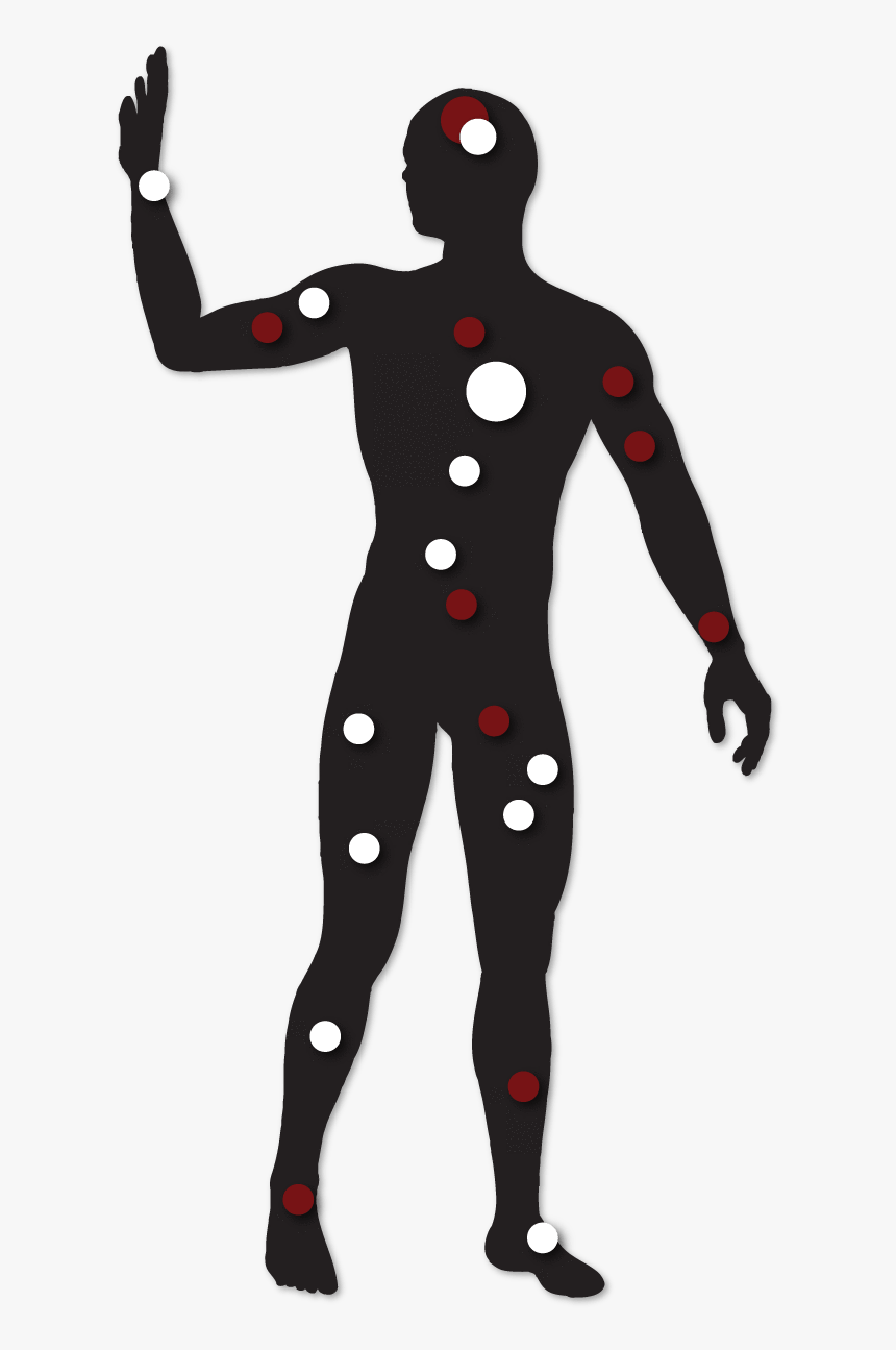 Person With Markings Of Endocannabinoid Receptors In, HD Png Download