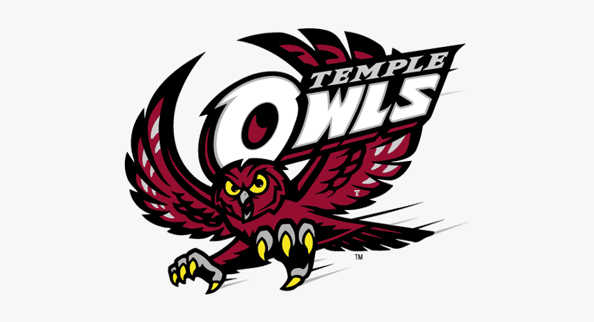 Temple Owls, HD Png Download