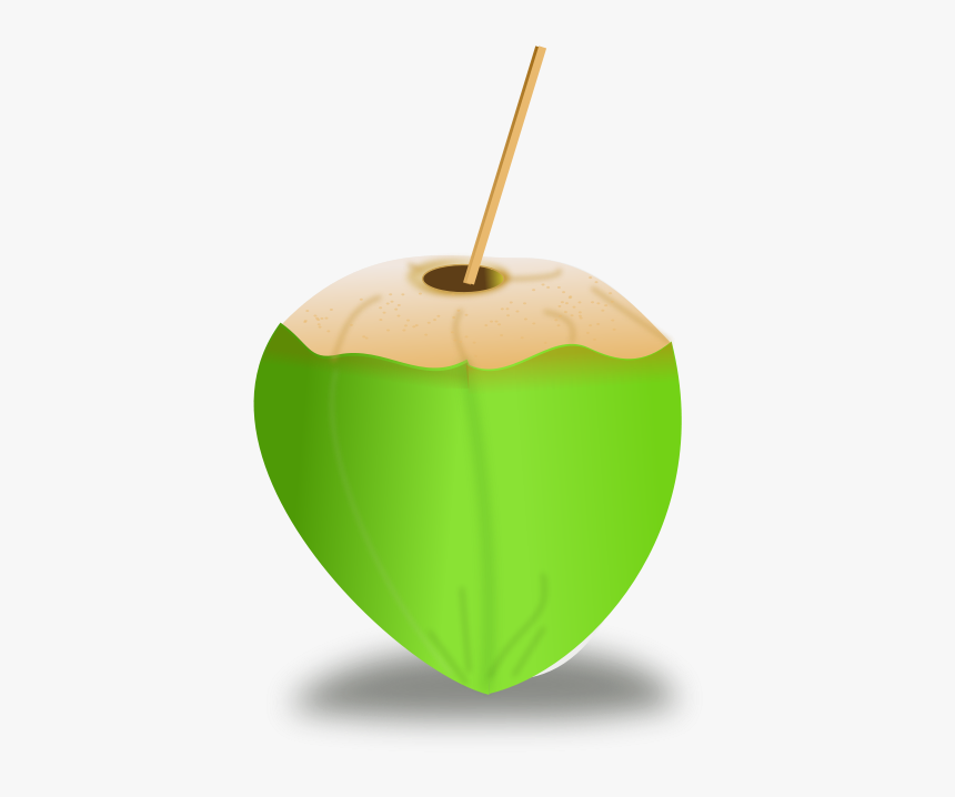Coconut Icon - Coco Verde Desenho, HD Png Download