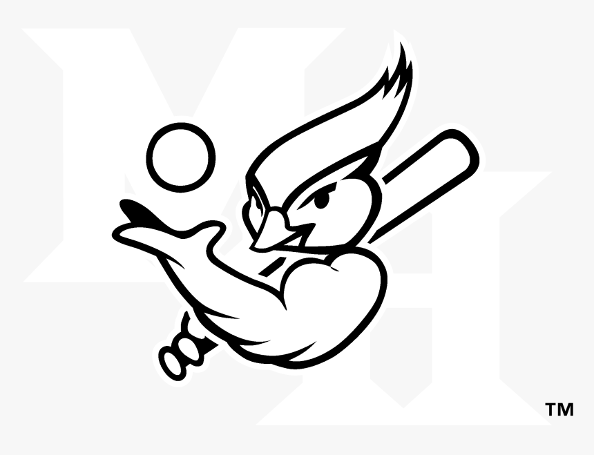 Blue Jay Png Black And White - Line Art, Transparent Png