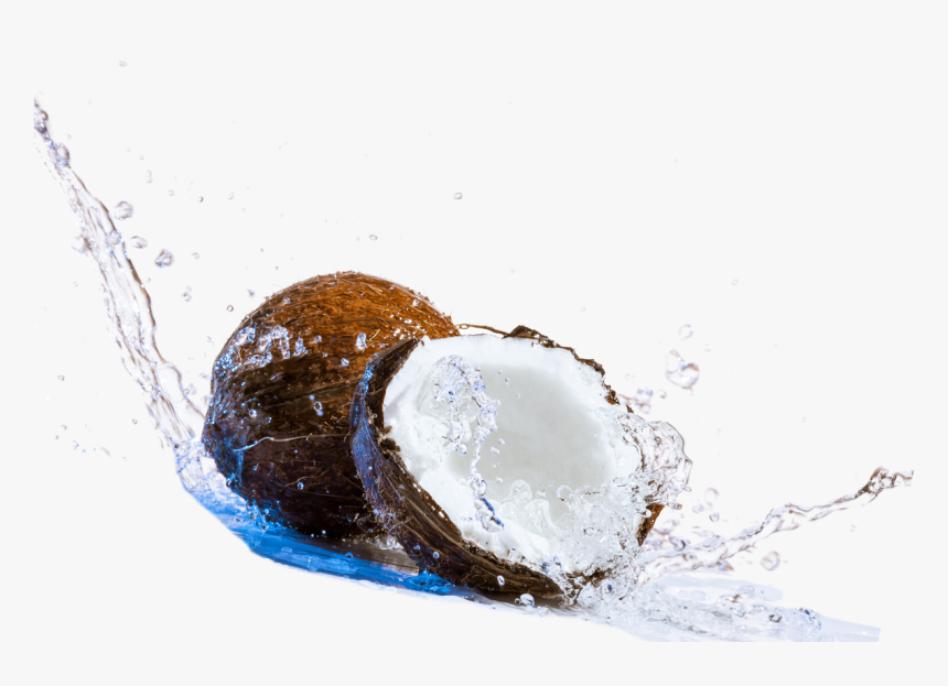 Coconut Png Transparent Photo - World Coconut Day 2019, Png Download