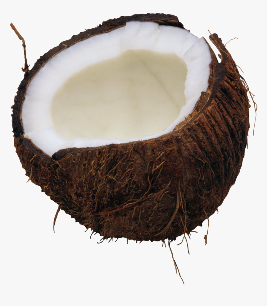 Coconut Png, Transparent Png