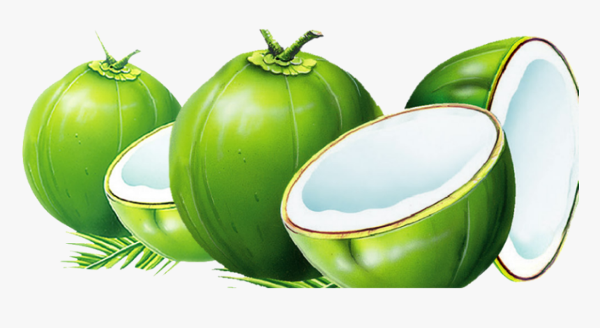 #mq #green #coconut #coconuts - Green Transparent Background Coconut Png, Png Download