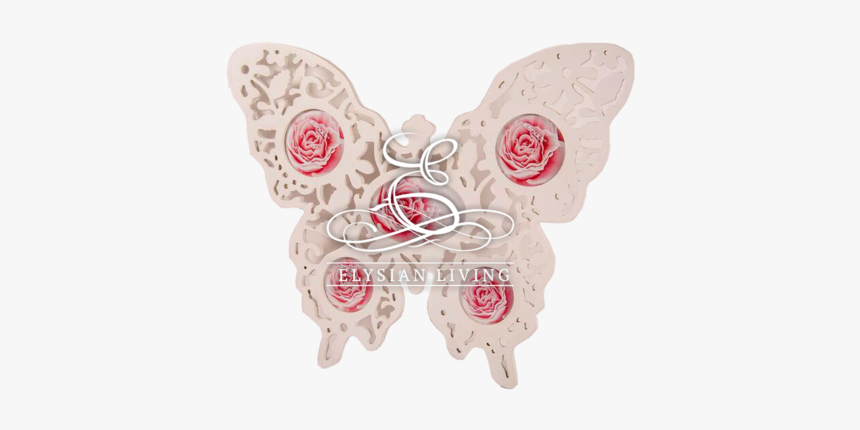 Butterfly, HD Png Download