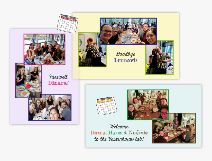 Collage, HD Png Download