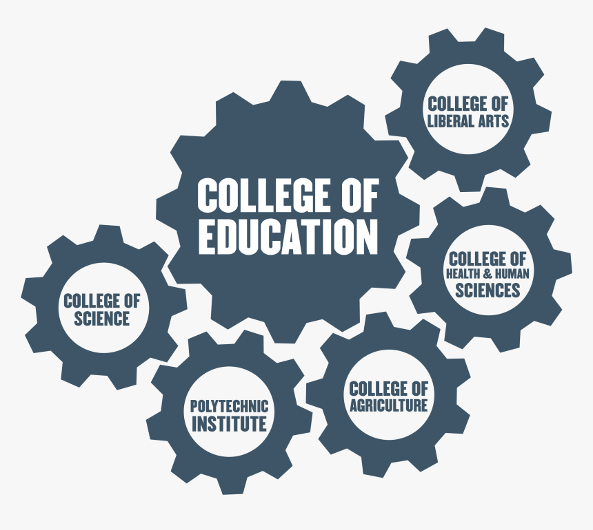 Coe Distributive Model - Label, HD Png Download