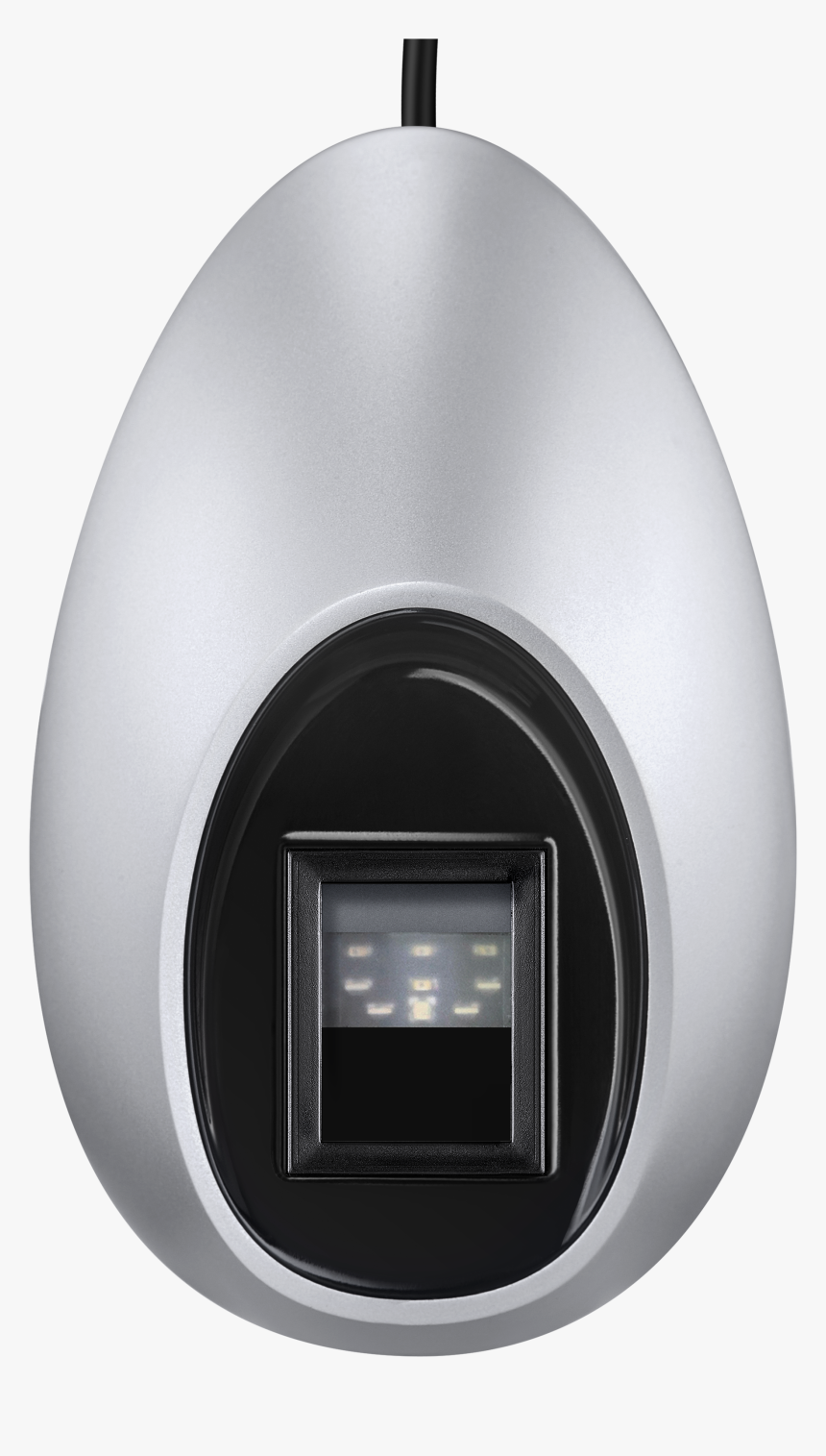 Ceiling, HD Png Download