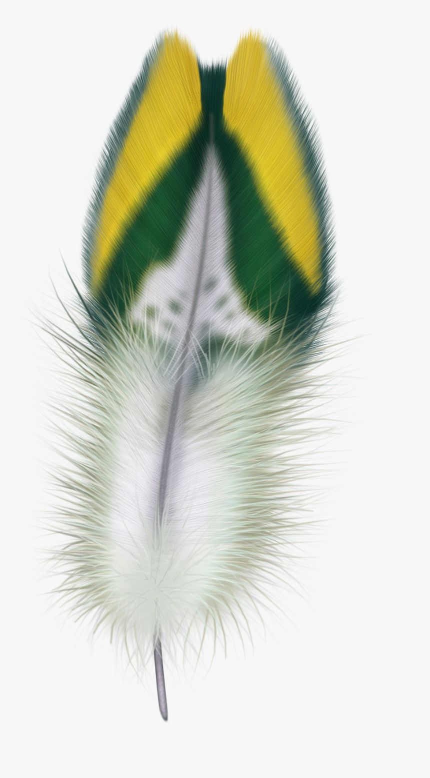Feather Png Transparent Image - Feathers, Png Download