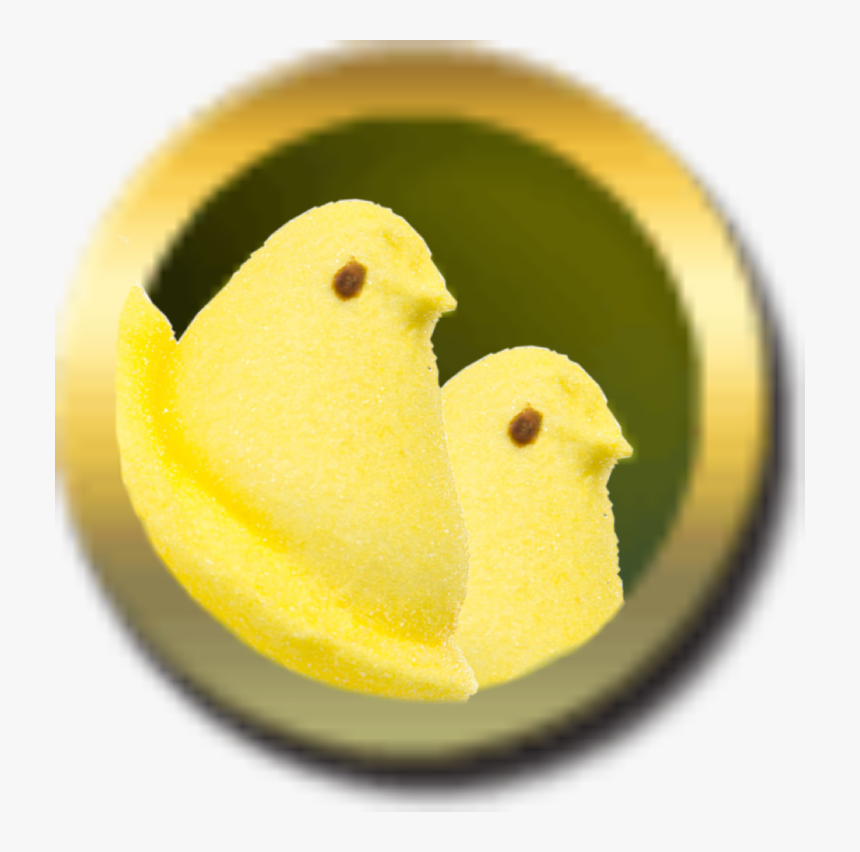 Chicken, HD Png Download