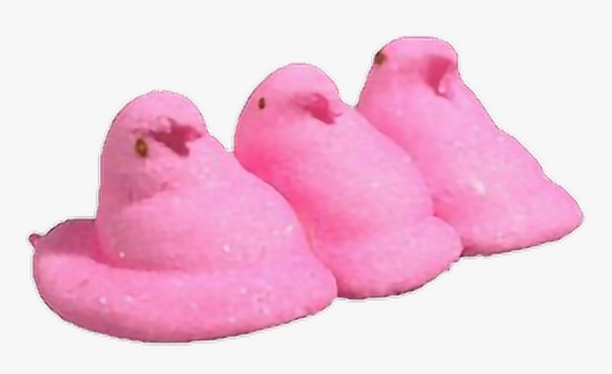 #peep #peeps #chick #chicks #candy #marshmallow #marshmello - Kue, HD Png Download