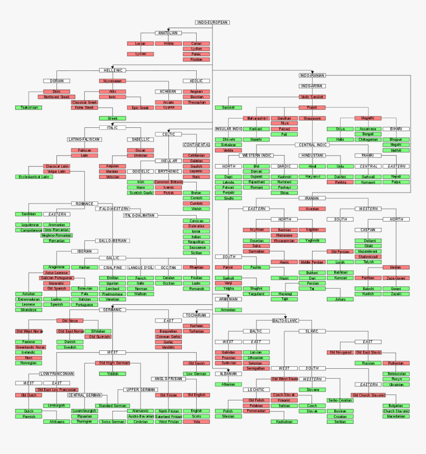 1024px-indoeuropeantree - Proto Indo European, HD Png Download