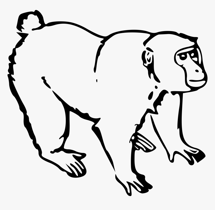 Gorilla Ape - Monkey Black And White Clipart, HD Png Download