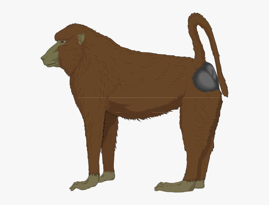 Blue Bottomed Ape Svg Clip Arts - Baboon Clipart, HD Png Download