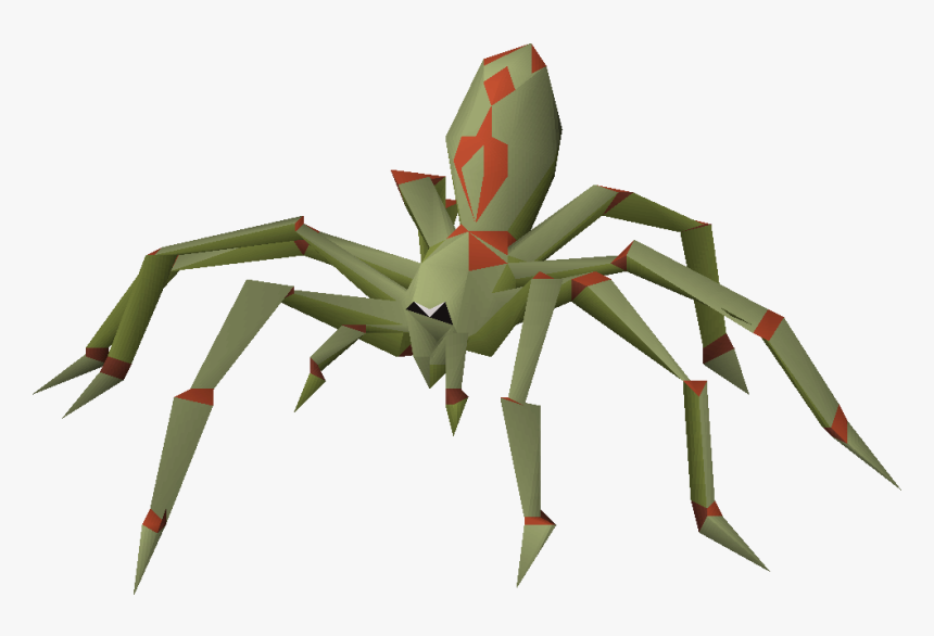 Araneus Cavaticus, HD Png Download