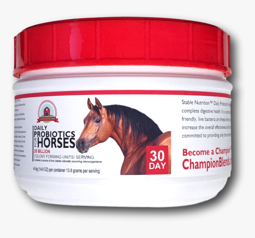 10 Premium Kynsa Chalk Markers 40 Free Chalkboard Labels, - Horse Probiotic, HD Png Download