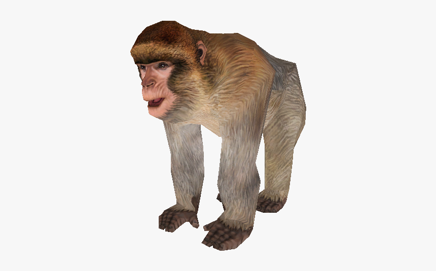 Download Zip Archive - Zoo Tycoon 2 Barbary Ape, HD Png Download