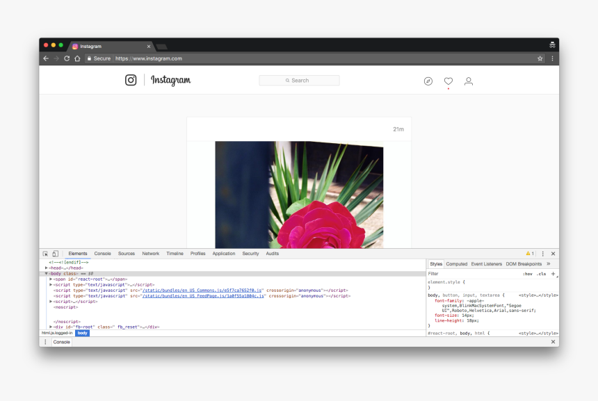 Multimedia Software, HD Png Download