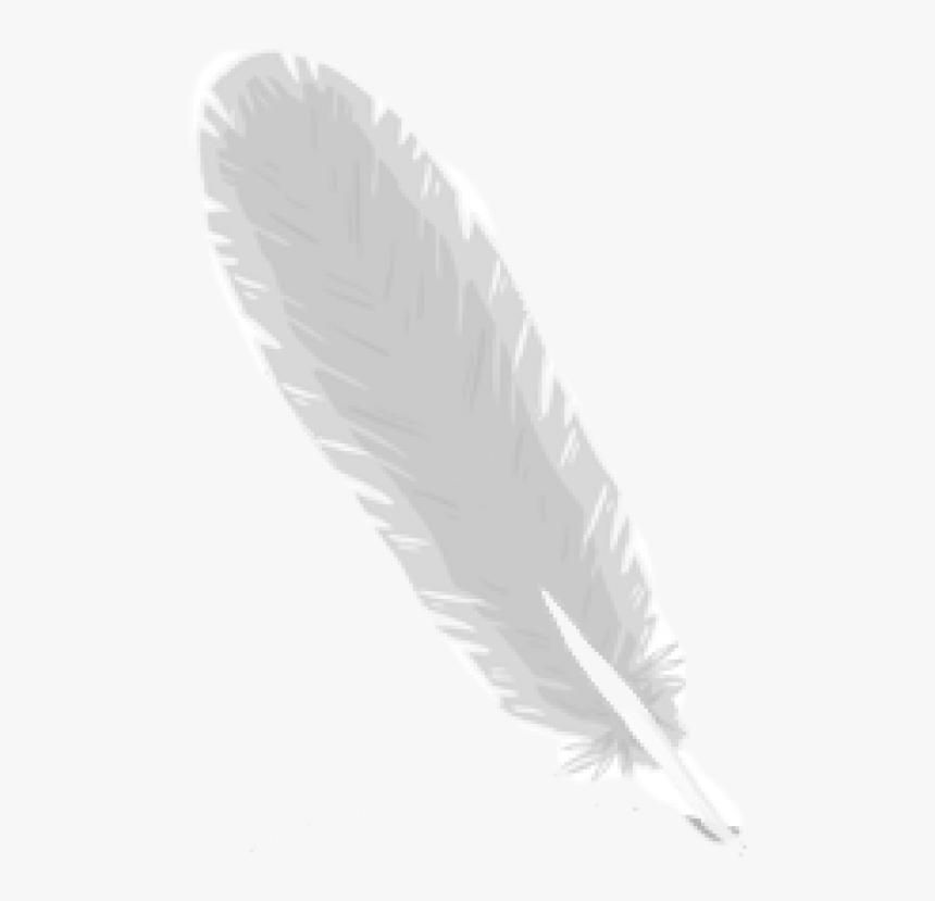 Feather Logo Png Image Download - Moths And Butterflies, Transparent Png