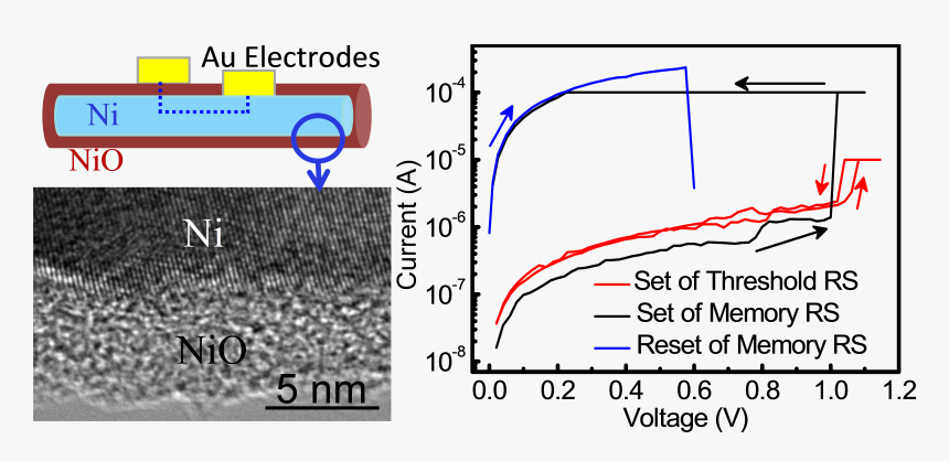 Niño Png, Transparent Png