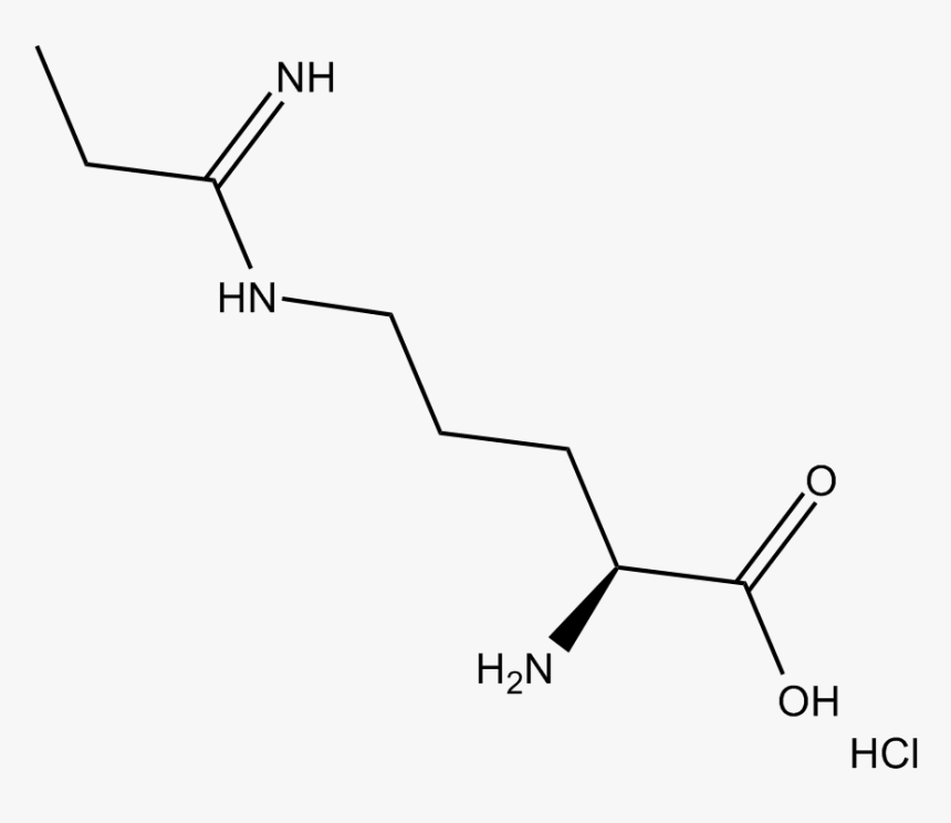 Diagram, HD Png Download