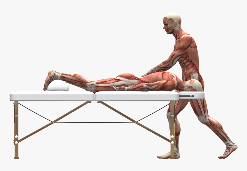 Massage Therapy, Massage, Massage Therapist - Massage Therapy Massage, HD Png Download