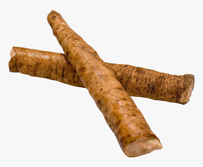 Burdock Root Png Image - Burdock Root Png, Transparent Png