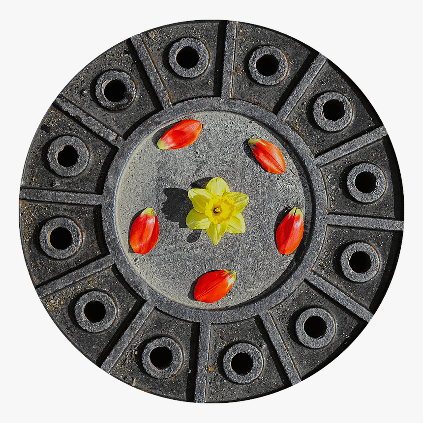 Circle, HD Png Download