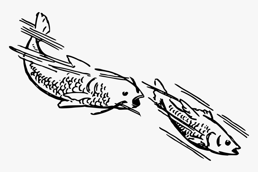 Transparent Swim Clipart - Fish Swimming Clip Art, HD Png Download