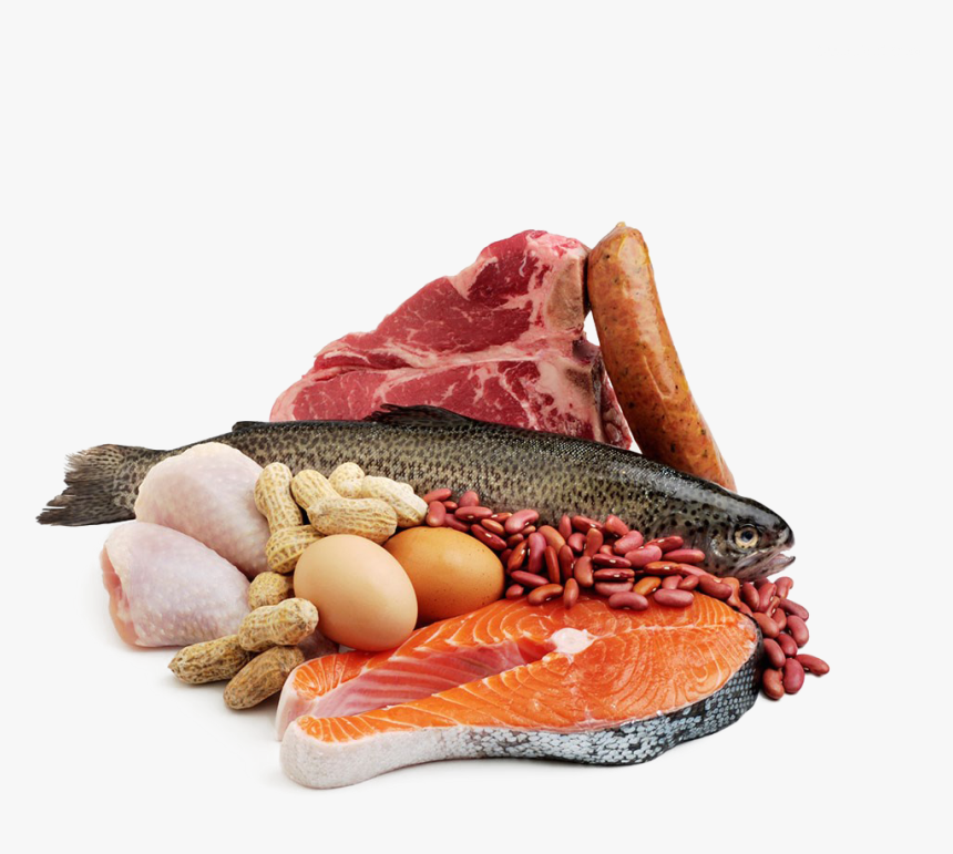 Seafood Meat Fish Protein Meat And Fish Png, Transparent Png