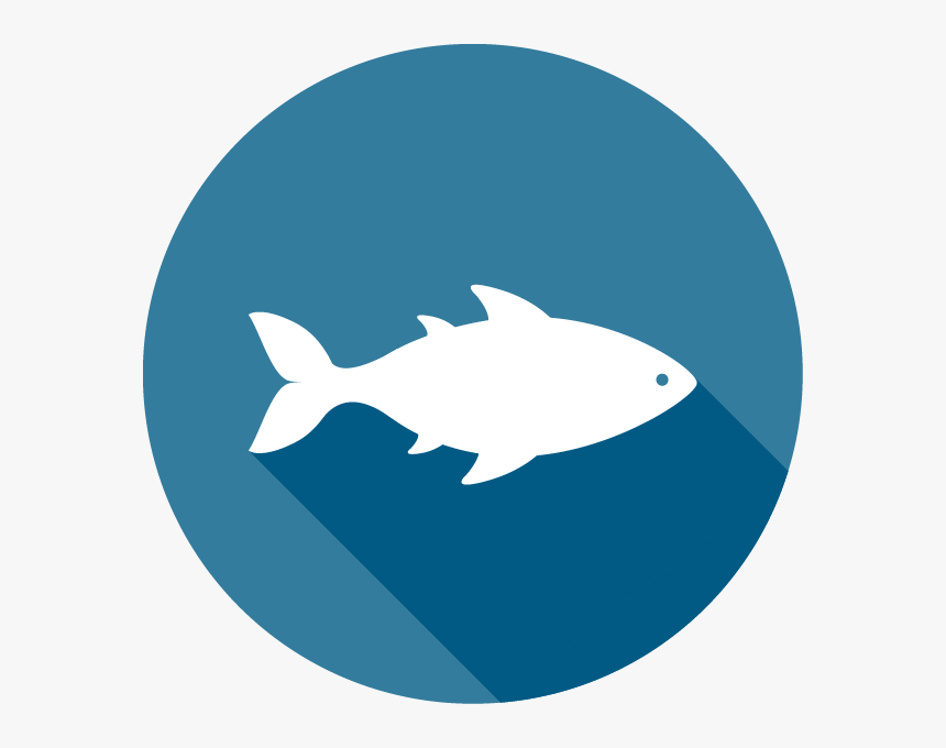 Transparent Seafood Png - Seafood Icon Png, Png Download