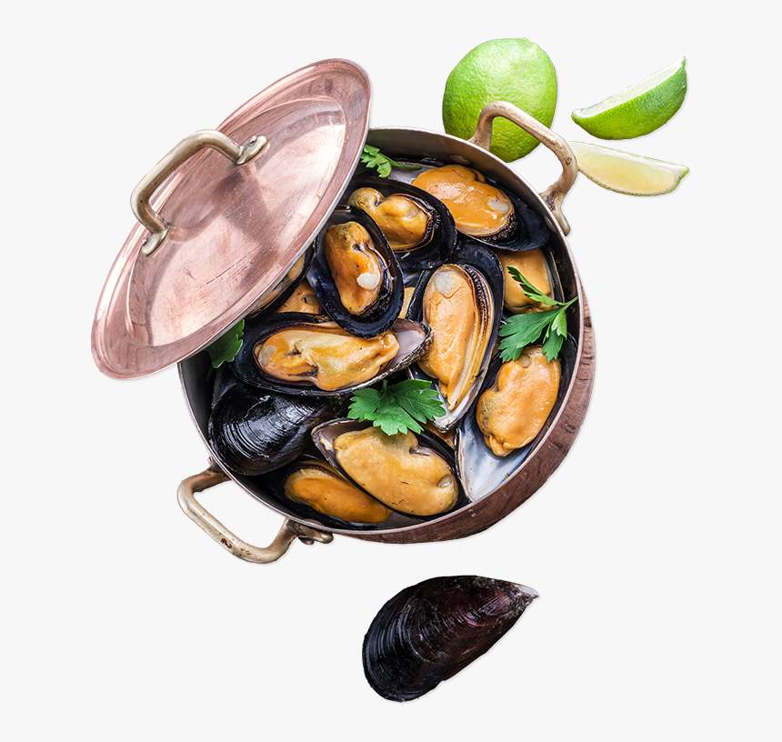 Seafood Top Oysters - Mussels Bowl Transparent Png, Png Download